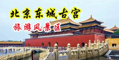 美女草逼爱妻艺中国北京-东城古宫旅游风景区